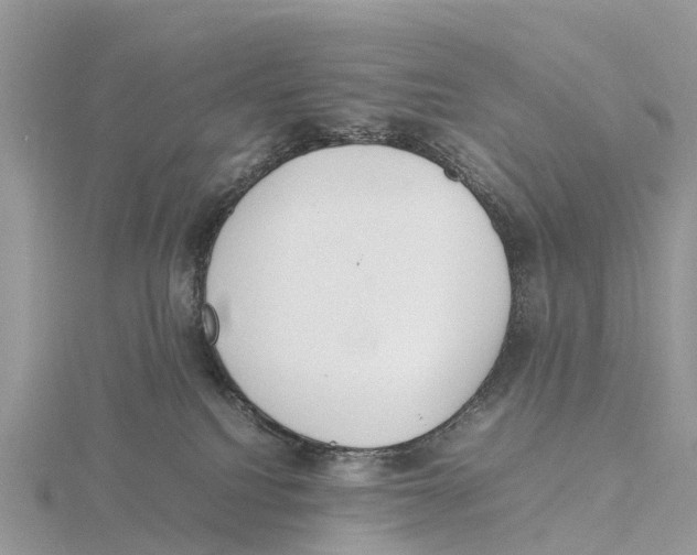 X0000115620088200912081032