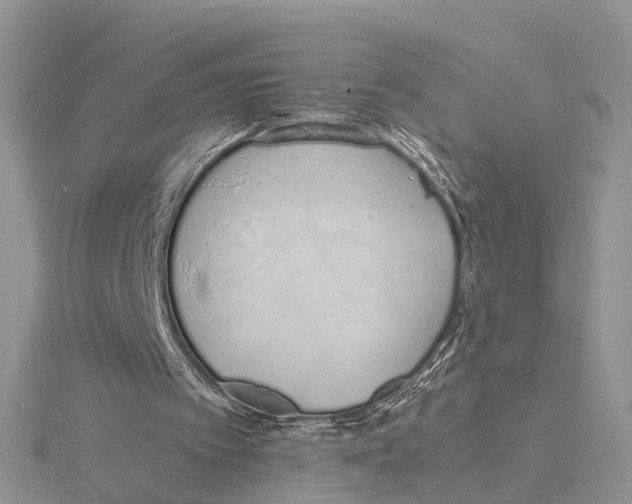 X0000115620097200912081031
