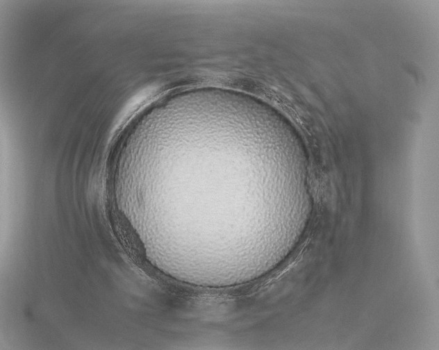 X0000115620101200912081031