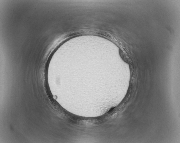 X0000115620103200912081031