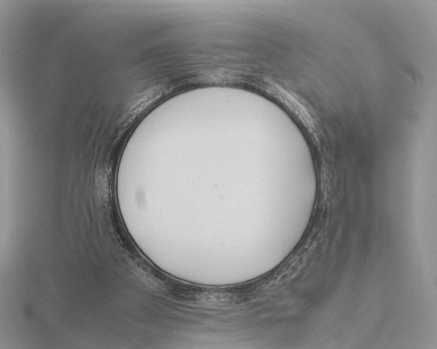 X0000115620105200912081031