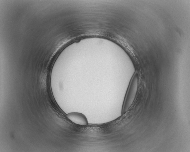 X0000115620108200912081031