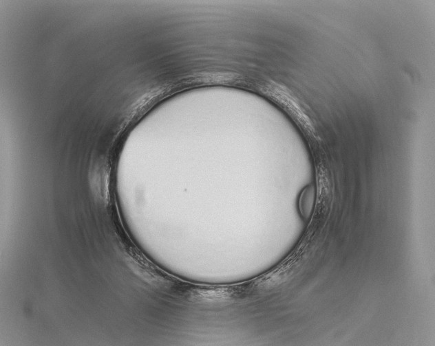 X0000115620110200912081031
