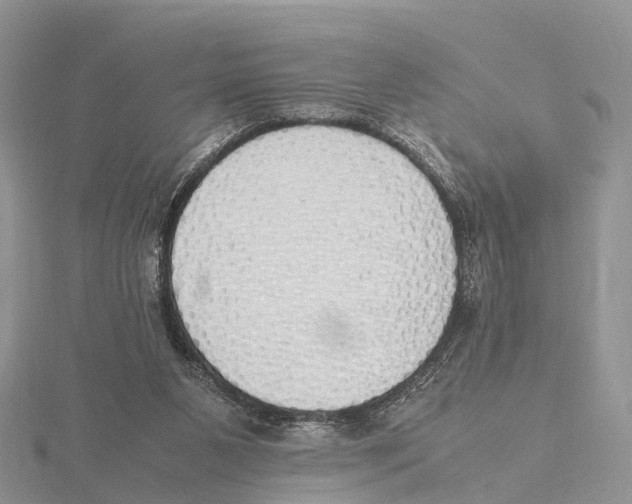 X0000115620111200912081031