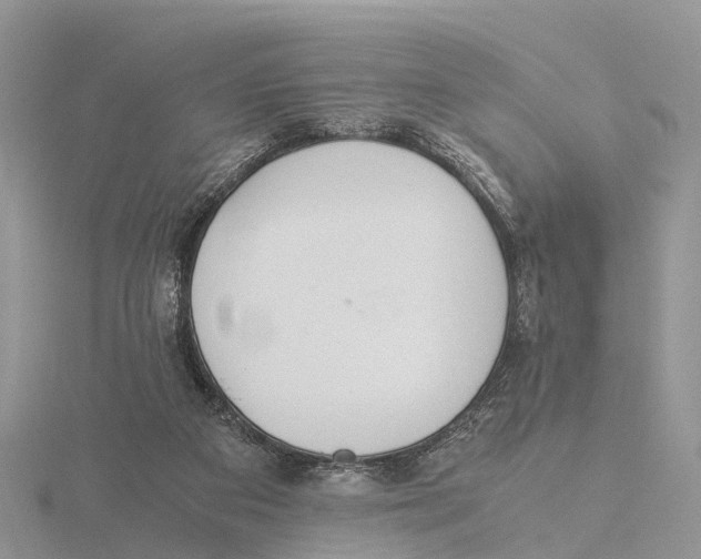 X0000115620113200912081031