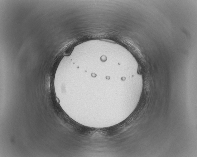 X0000115620115200912081031