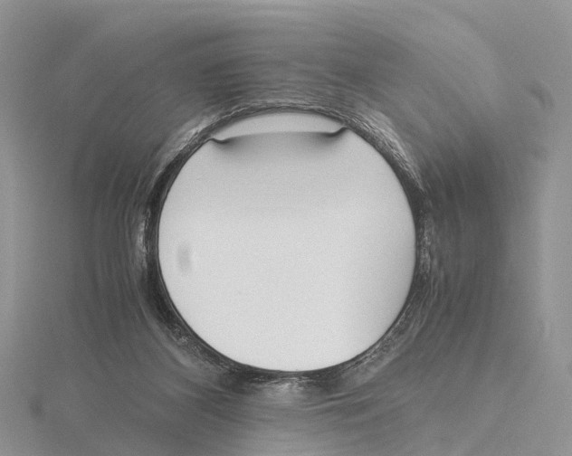 X0000115620116200912081031