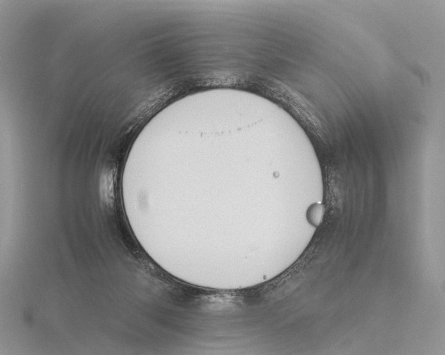 X0000115620118200912081031