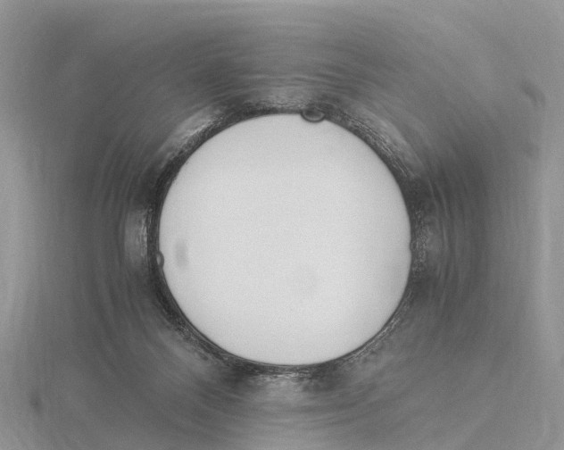 X0000115620120200912081031