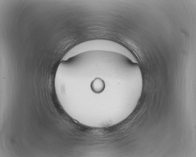X0000115620121200912081031