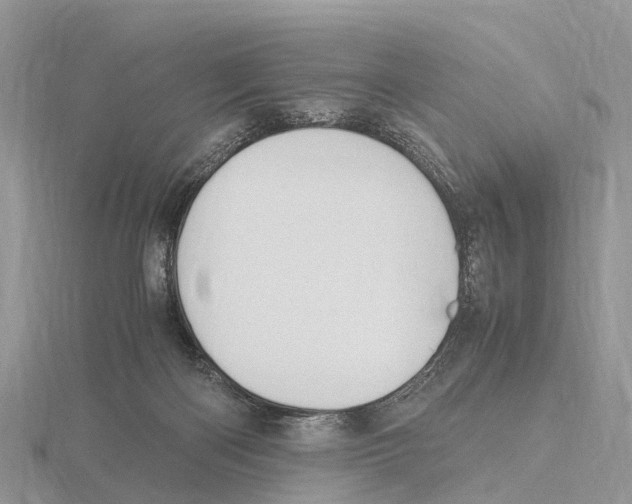 X0000115620122200912081031