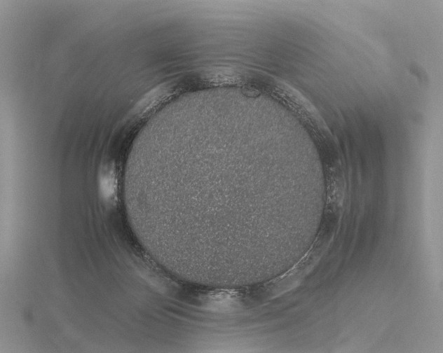 X0000115620124200912081031