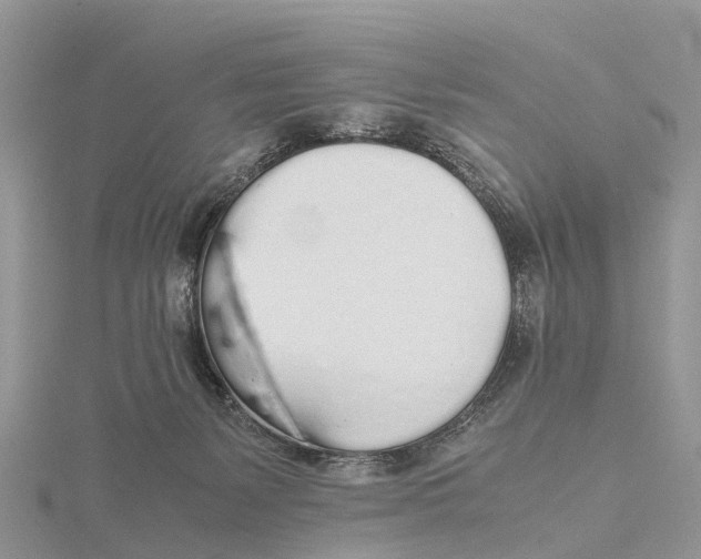 X0000115620127200912081031