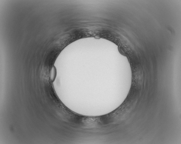 X0000115620129200912081031