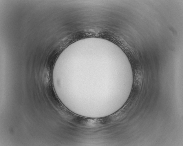 X0000115620130200912081031