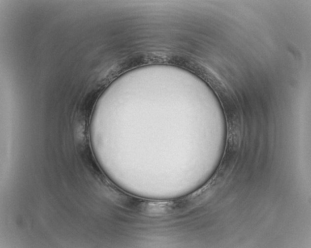 X0000115620134200912081031