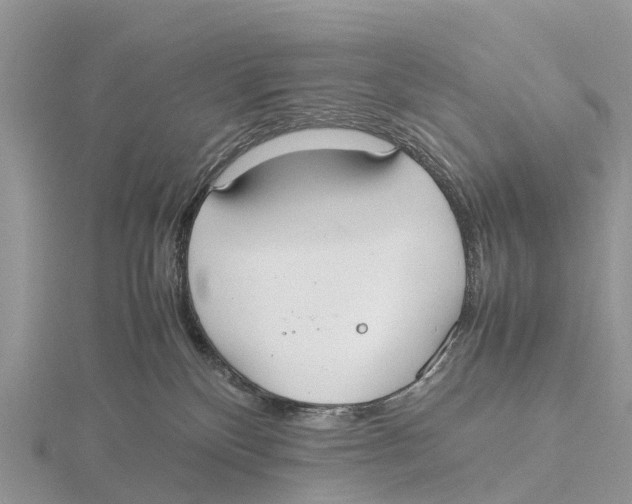 X0000115620136200912081031