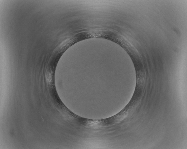 X0000115620139200912081031