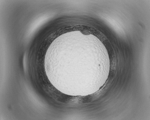 X0000115620140200912081031