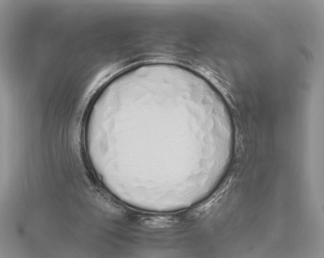 X0000115620151200912081030