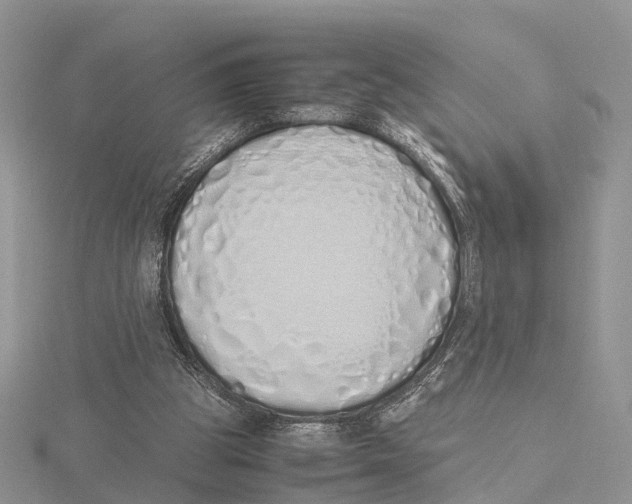 X0000115620153200912081030