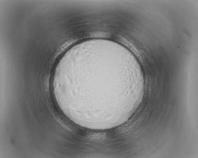 X0000115620155200912081030