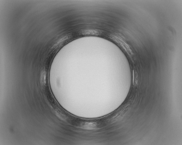 X0000115620157200912081030