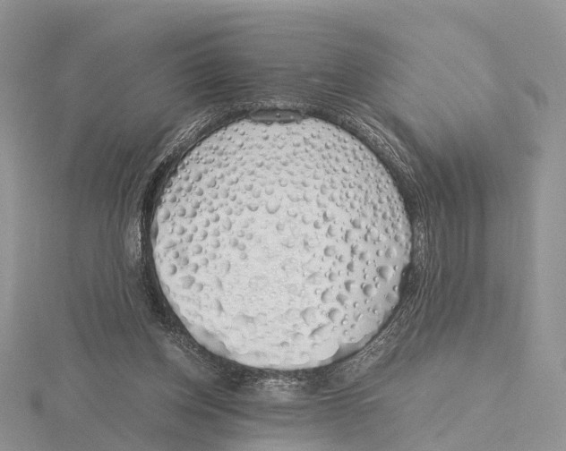 X0000115620158200912081030