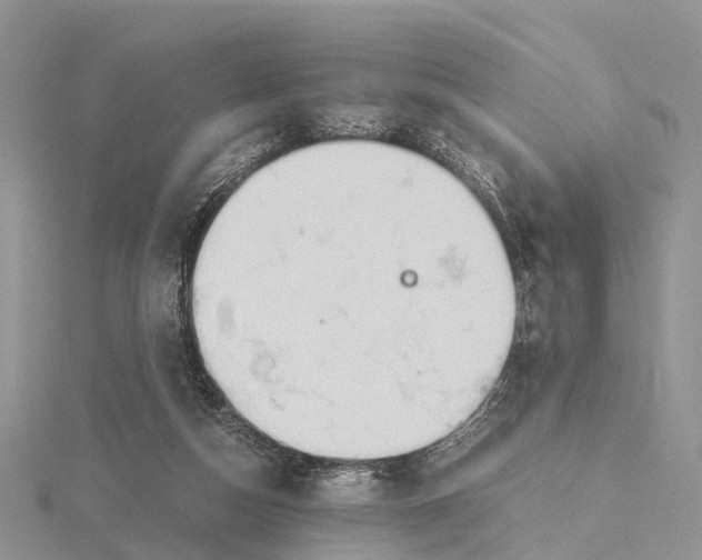 X0000115620162200912081030