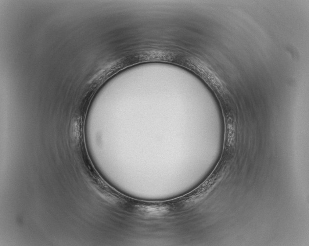 X0000115620165200912081030