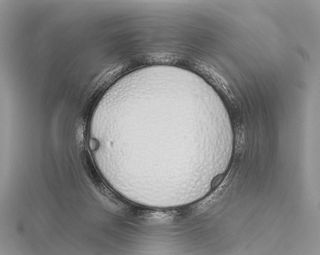 X0000115620166200912081030