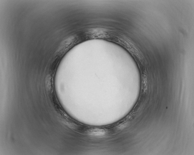 X0000115620169200912081030
