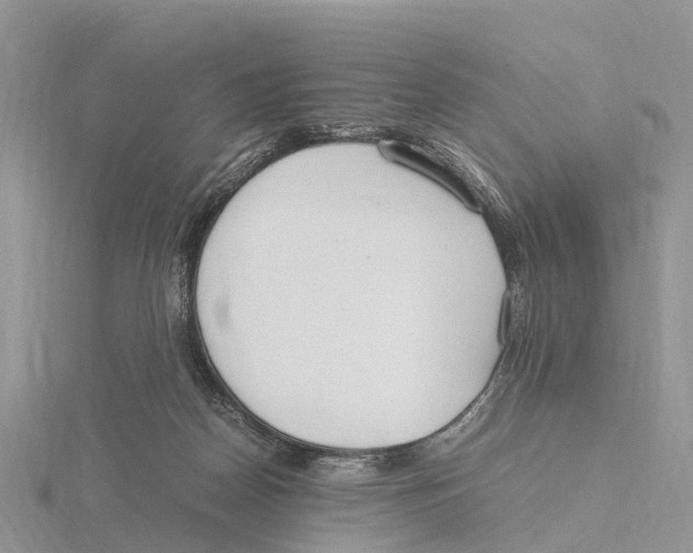 X0000115620170200912081030