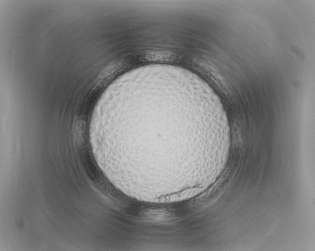 X0000115620171200912081030