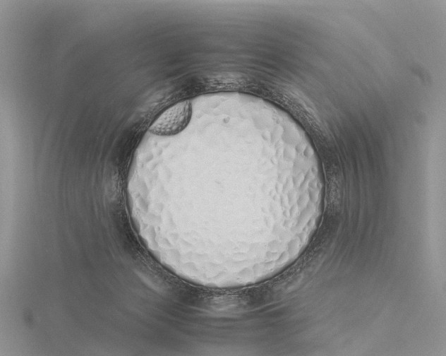 X0000115620173200912081030