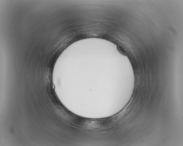 X0000115620174200912081030