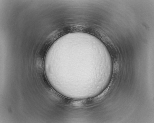 X0000115620178200912081030