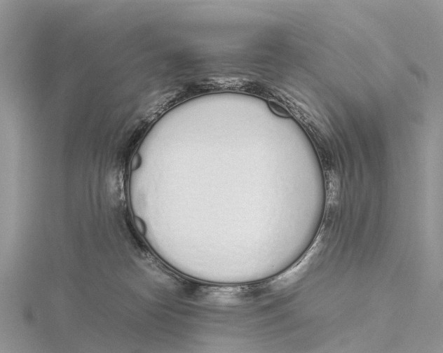 X0000115620182200912081030