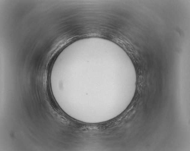 X0000115620194200912081030
