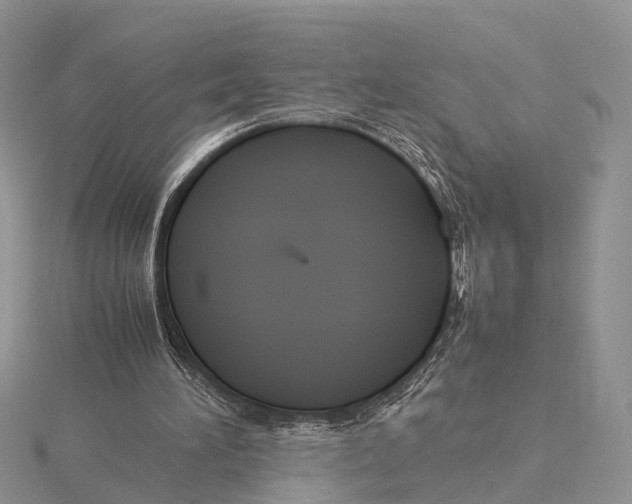 X0000115620196200912081030
