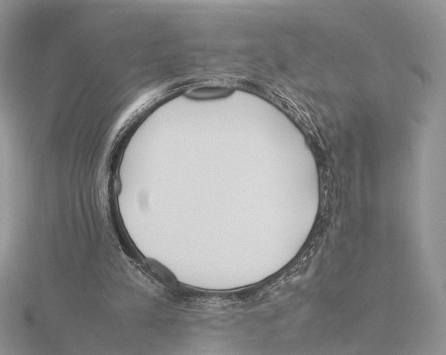 X0000115620197200912081030