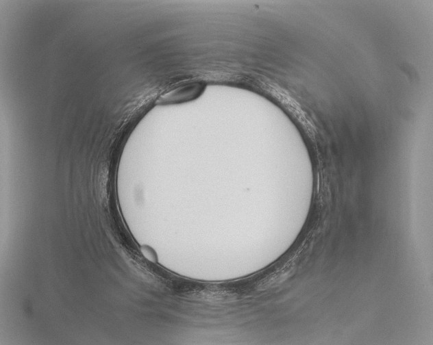 X0000115620201200912081030