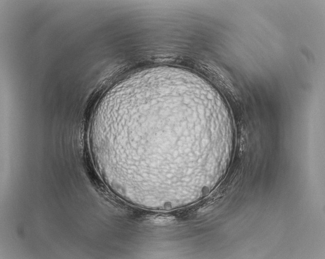 X0000115620210200912081030