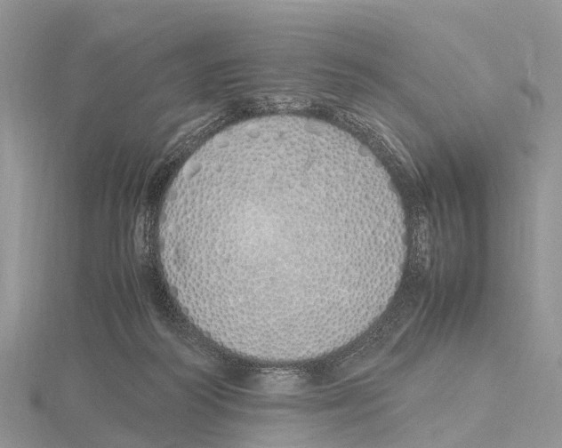 X0000115620218200912081030