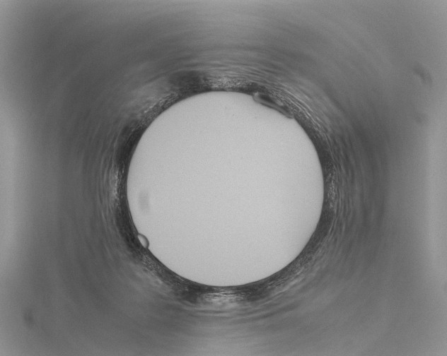 X0000115620219200912081030