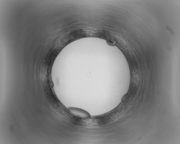 X0000115620221200912081030