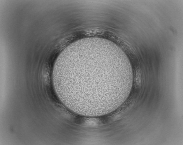 X0000115620226200912081029
