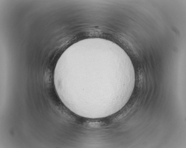 X0000115620228200912081029