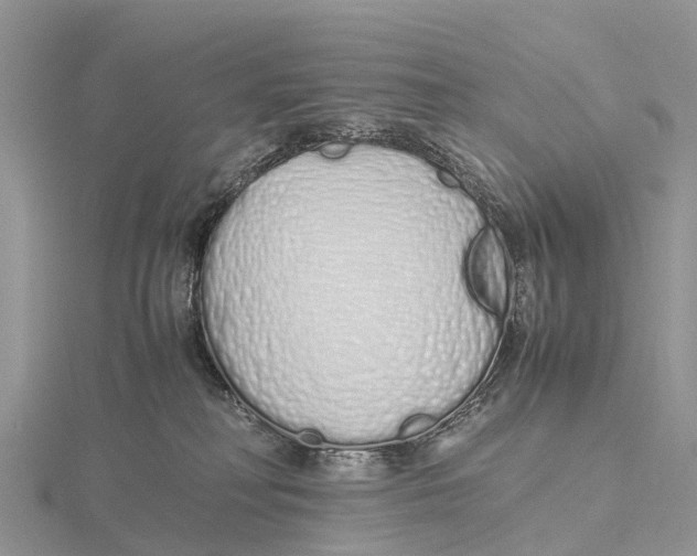 X0000115620230200912081029