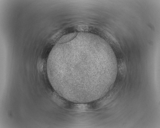 X0000115620233200912081029